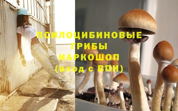 не бодяженный Верхний Тагил